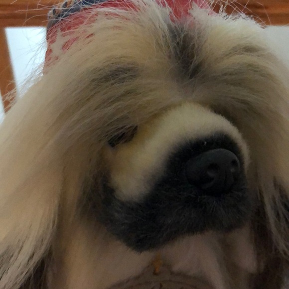 Meet your Posher, Winnie - Picture 1 of 1